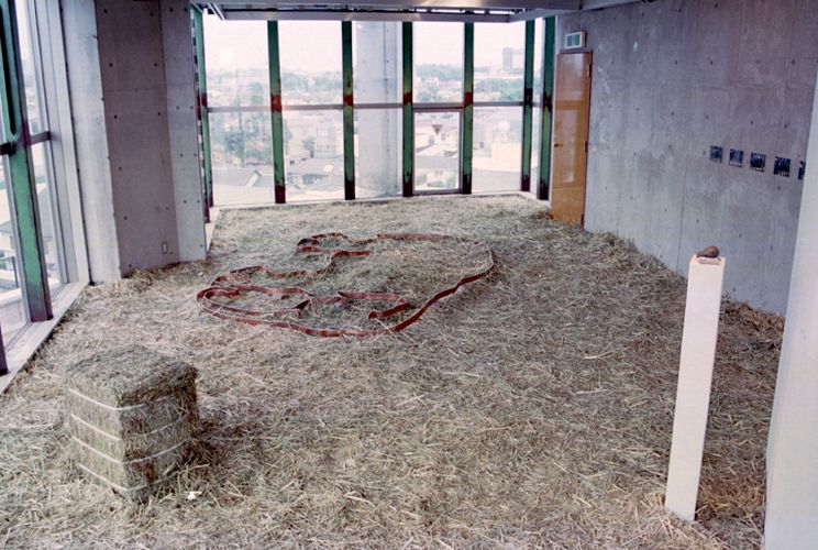 はな子の寝姿（実物大）