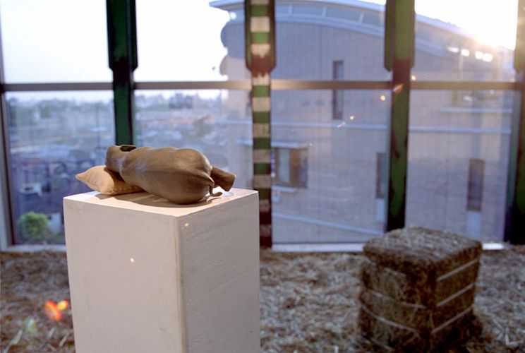 WINDS GALLERY 7Fでのインスタレーション