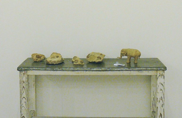 大岡川上流で拾った石を彫ったクラゲの化石、またその石を粉砕し粘土にして作ったはな子