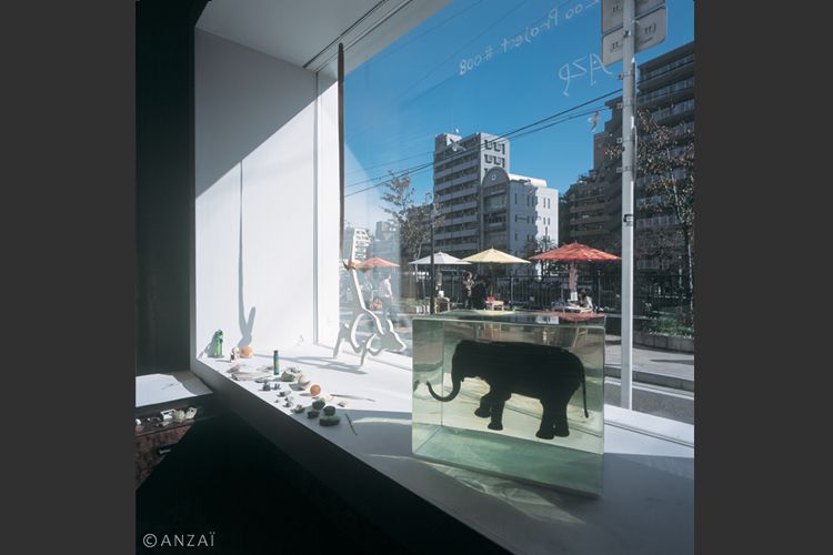 黄金スタジオでの展示風景 ©ANZAI