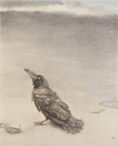 巣から落ちた雛