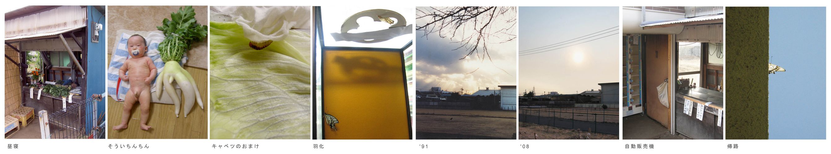 写真による連作