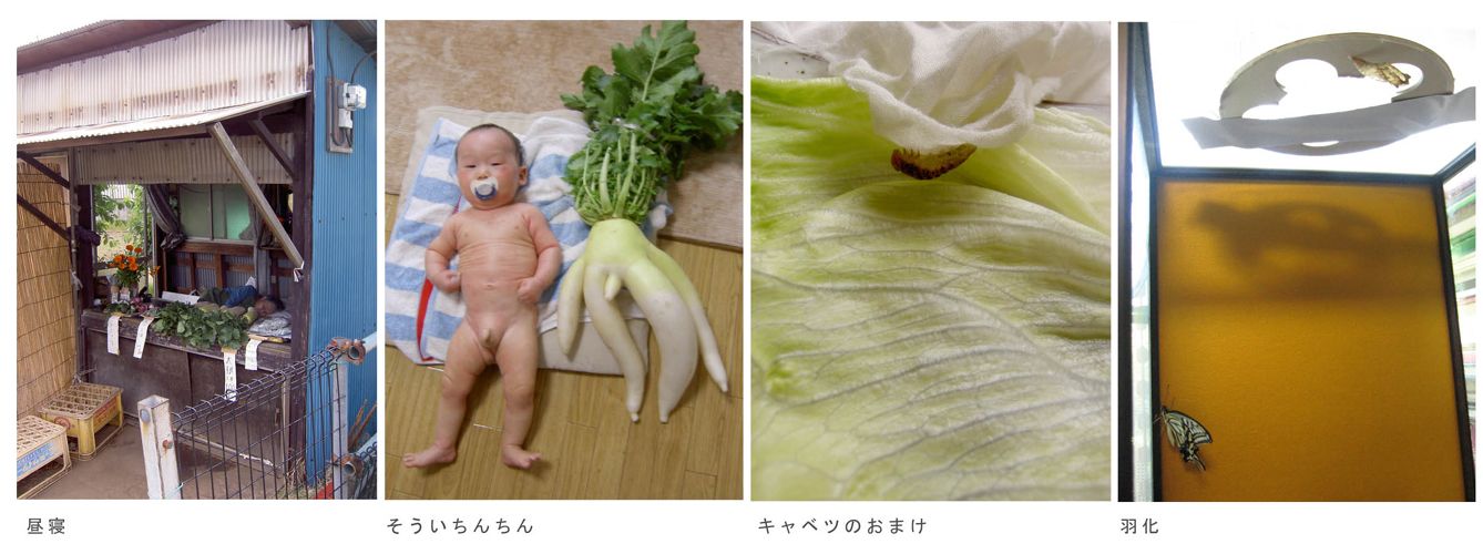 写真による連作