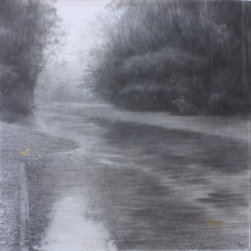 ツシマアカガエル